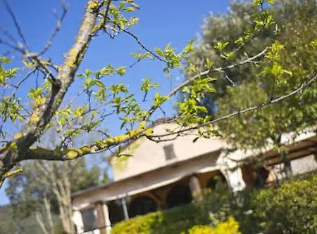 Hotell Country House Torre Burchio *